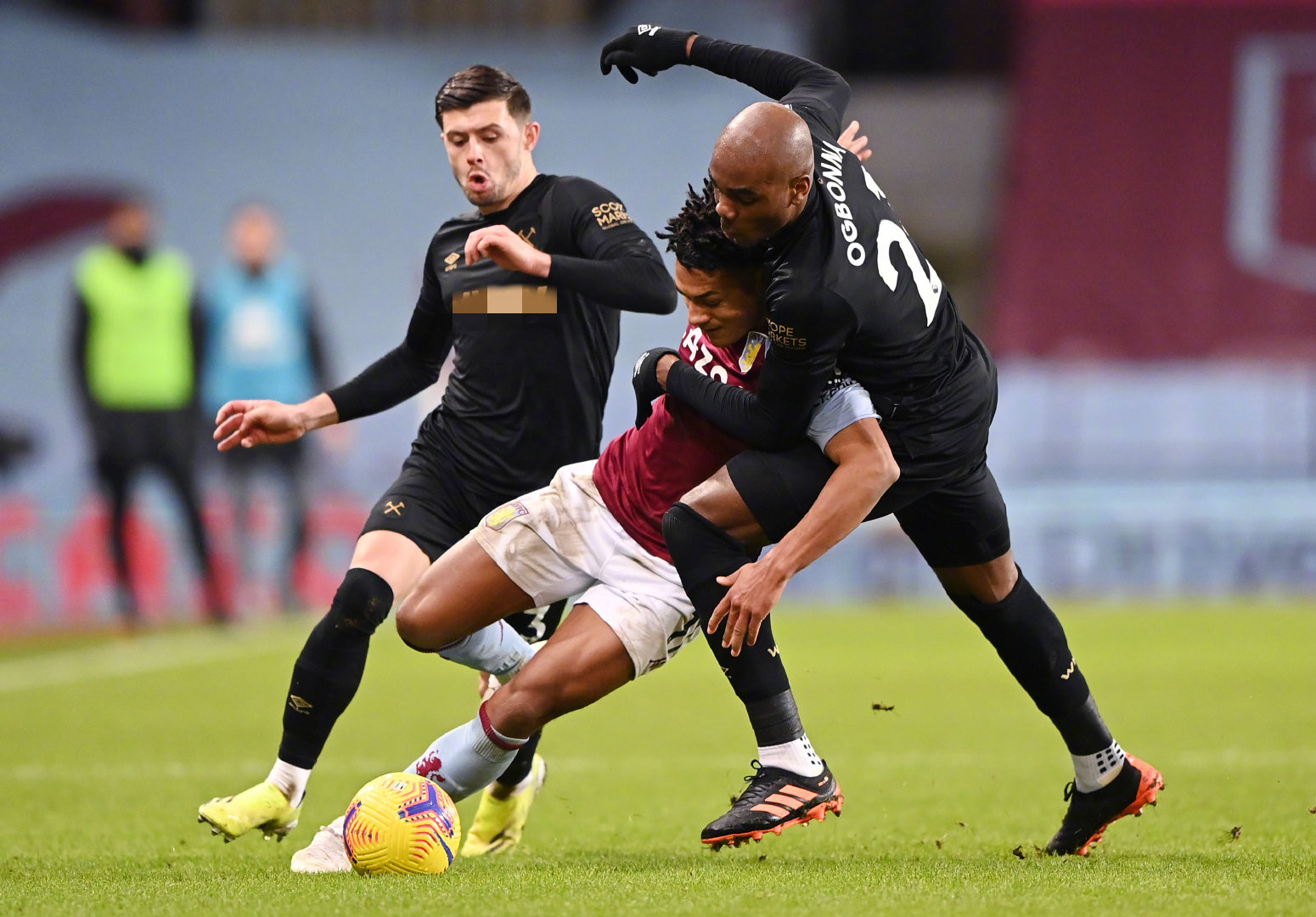 青岛海牛 青岛海牛