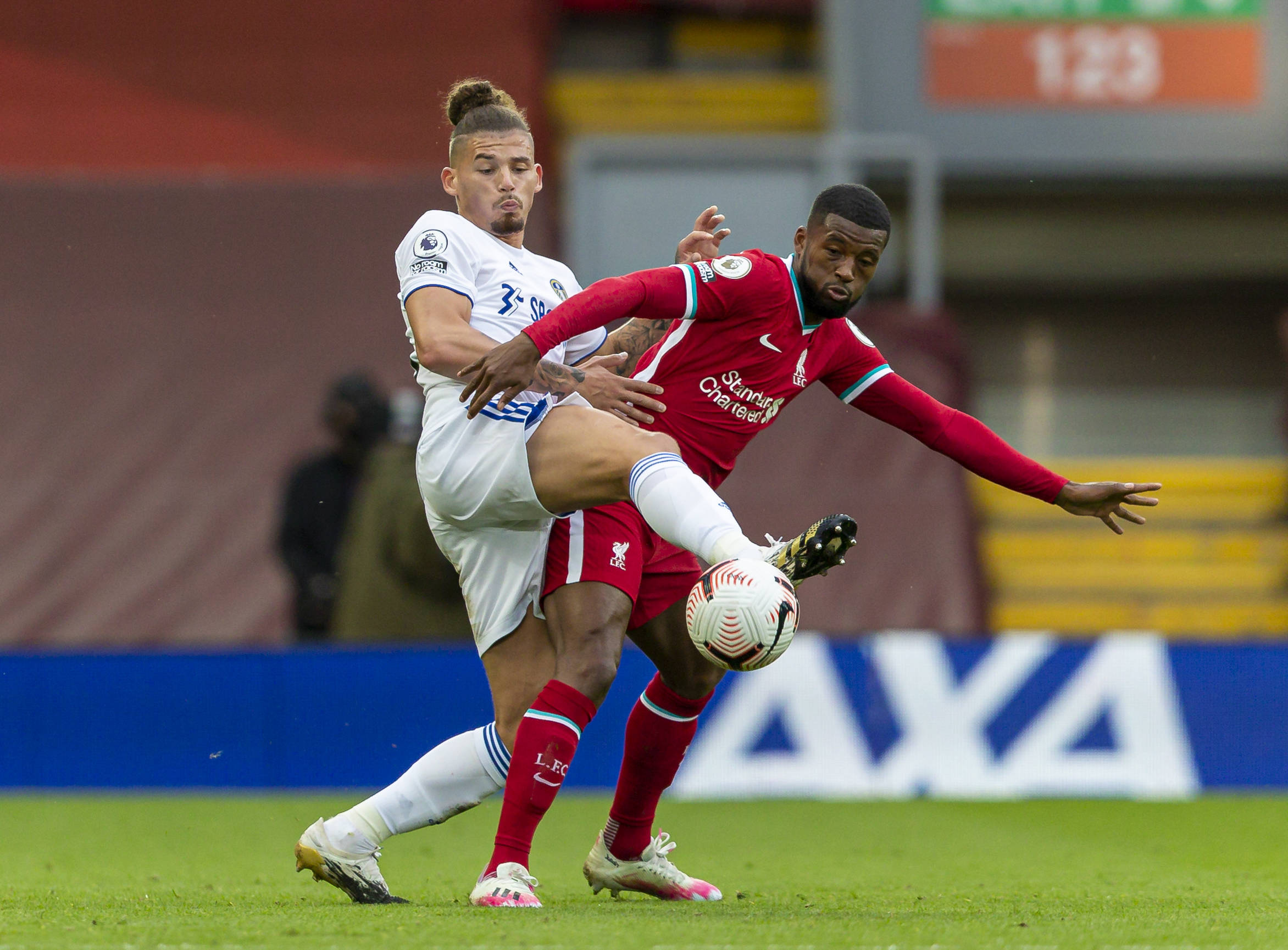 大大增强了 大大增强了